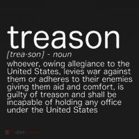 Treason Definition Anti Trump Treason Ornament thumb 1