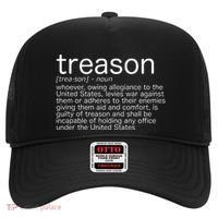 Treason Definition Anti Trump Treason Hat thumb 0