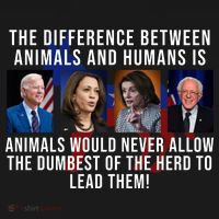 The Difference Between Animals And Humans Funny Democrat Apron thumb 3