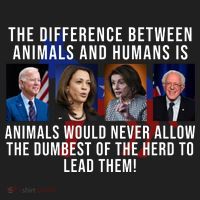 The Difference Between Animals And Humans Funny Democrat Hat thumb 2
