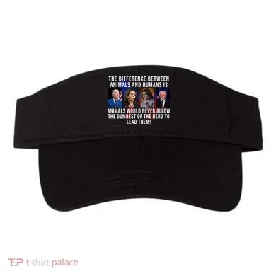 Visor