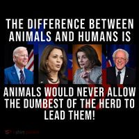 The Difference Between Animals And Humans Funny Democrat Women's T-Shirt thumb 6