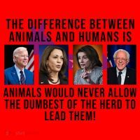 The Difference Between Animals And Humans Funny Democrat Santa Hat thumb 1