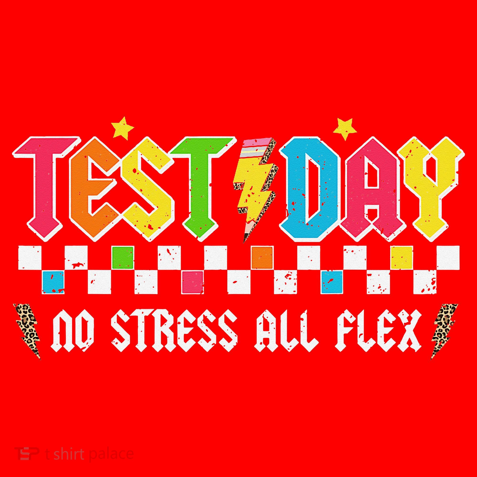 Testing Day Bruh No Stress All Flex Teacher Student Santa Hat
