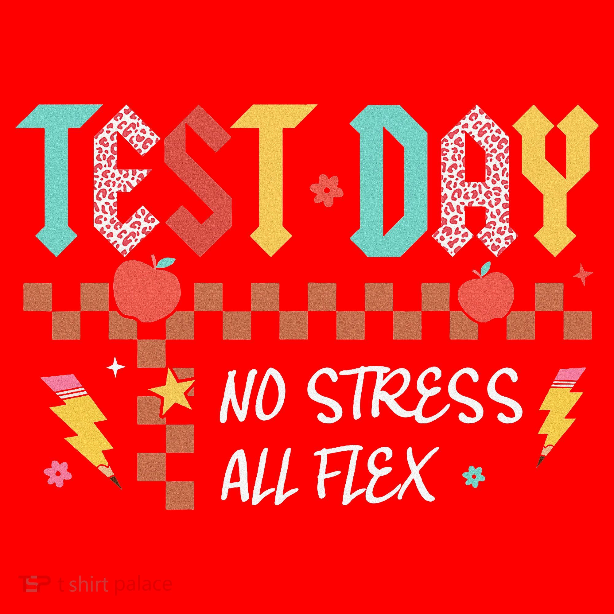 Testing Day Bruh No Stress All Flex Teacher Student Santa Hat