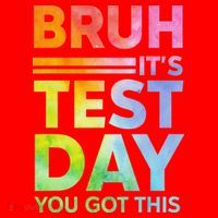 Testing Day Bruh Its Test Day You Got This Teacher Student Santa Hat thumb 1