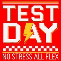 Testing Day Bruh No Stress All Flex Teacher Student Santa Hat thumb 1