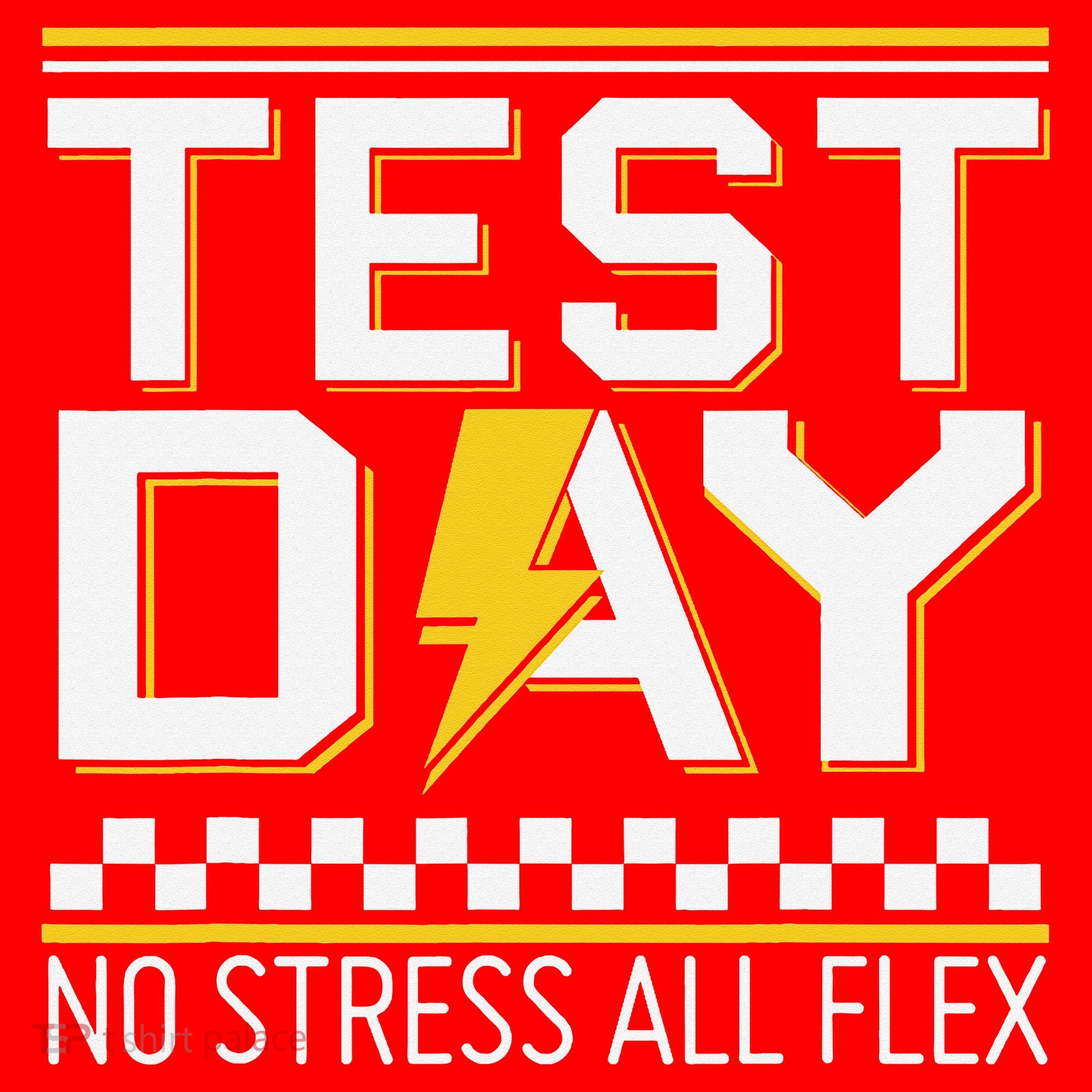 Testing Day Bruh No Stress All Flex Teacher Student Santa Hat