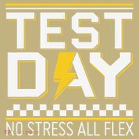 Testing Day Bruh No Stress All Flex Teacher Student Hoodie thumb 7