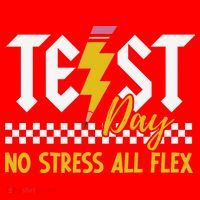 Testing Day Bruh No Stress All Flex Teacher Student Santa Hat thumb 1