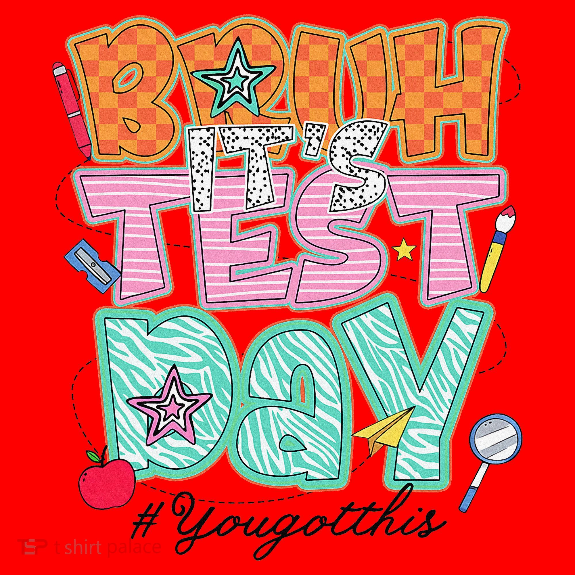 Testing Day Bruh Its Test Day You Got This Teacher Student Santa Hat