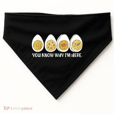 Thanksgiving Dinner Deviled Egg You Know Why Im Here USA-Made Doggie Bandana