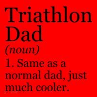 Triathlon Dad Definition Funny Sarcastic Sports Gift Santa Hat thumb 1
