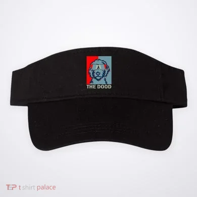 Visor