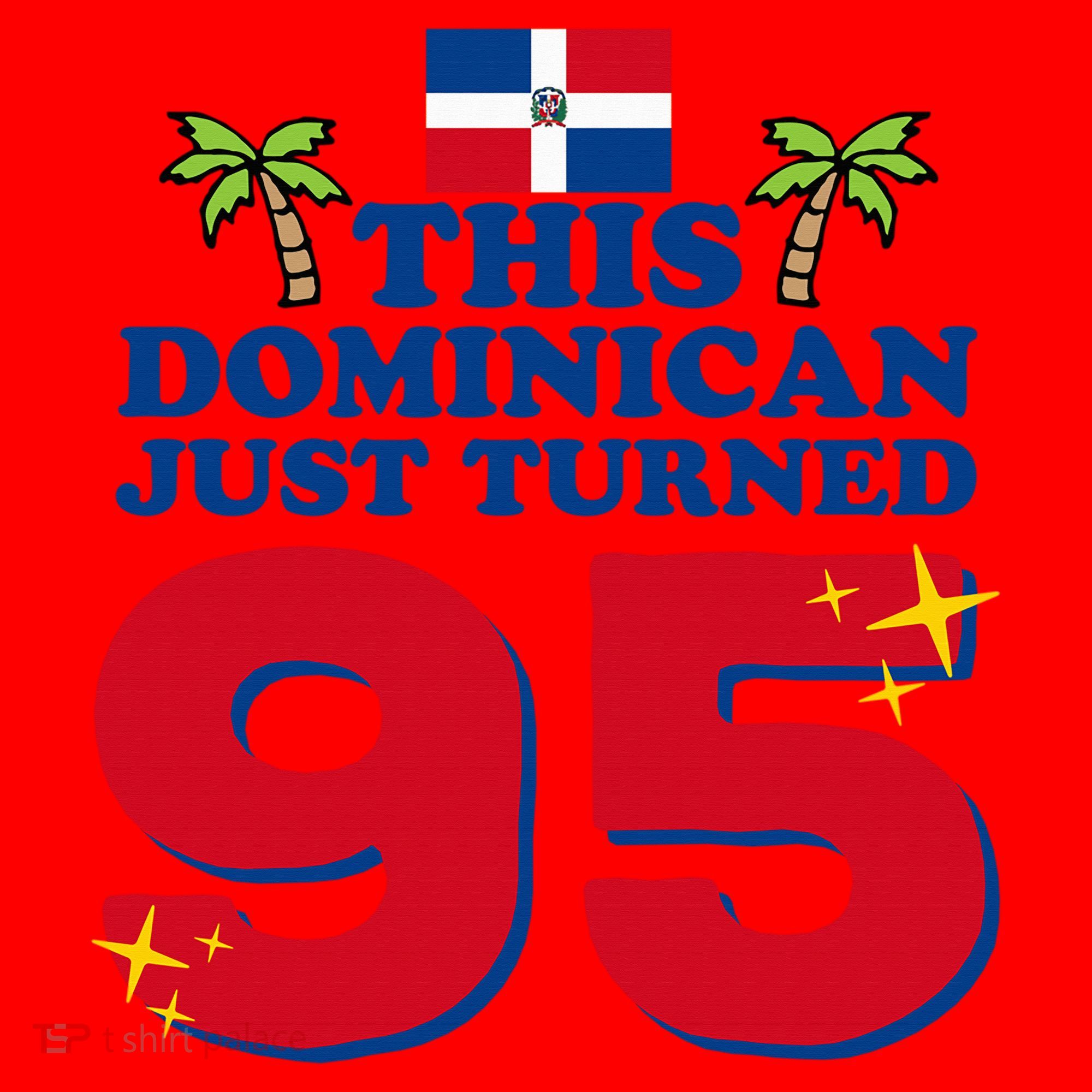 This Dominican Just Turned 95 - Dominicano 95th Birthday Santa Hat