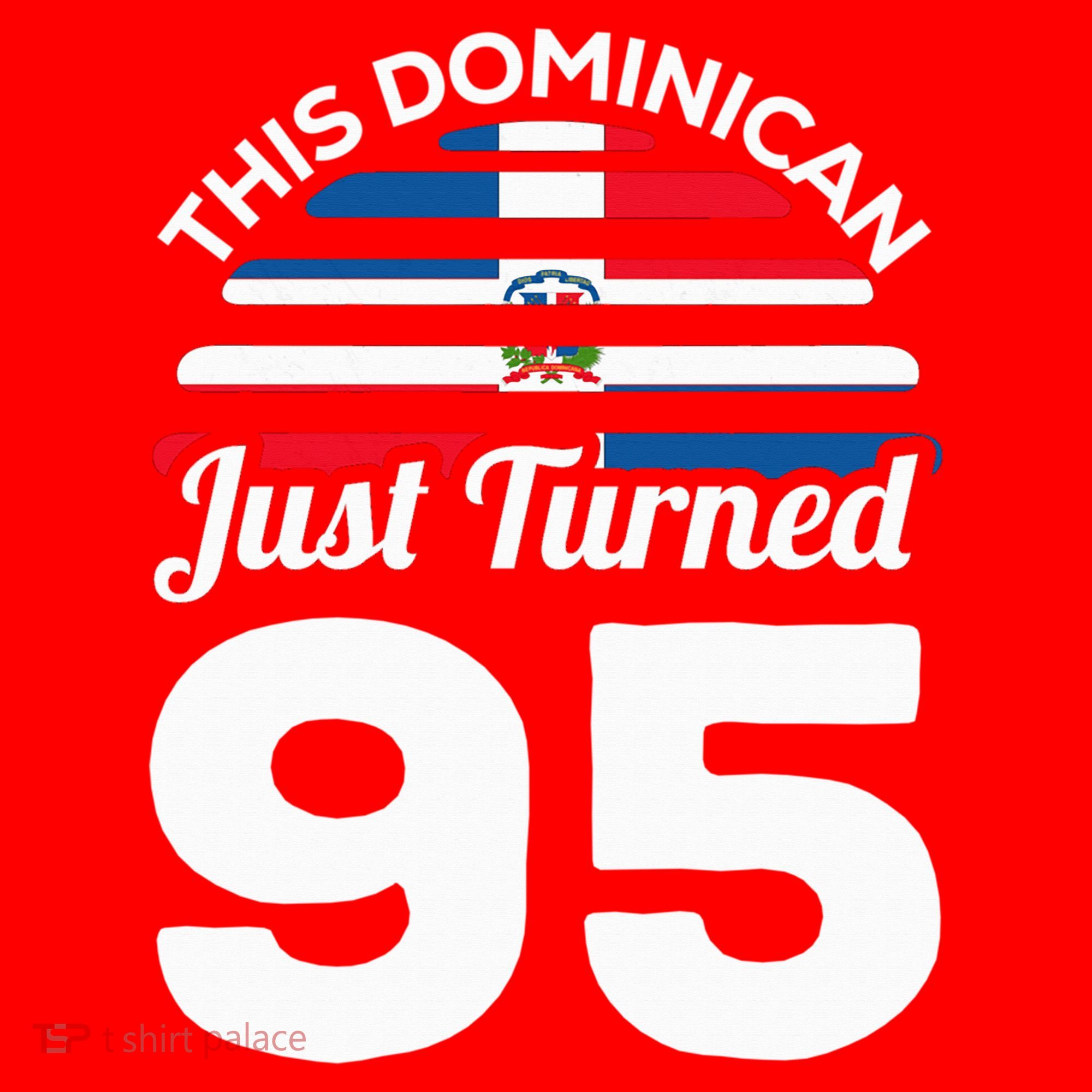 This Dominican Just Turned 95 Dominicano 95th Birthday Santa Hat