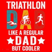 Triathlon Dad Like A Regular Dad But Cooler Gift Santa Hat thumb 1