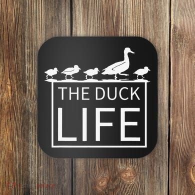 The Duck Life! Coaster