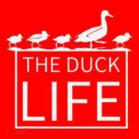 The Duck Life! Santa Hat thumb 1