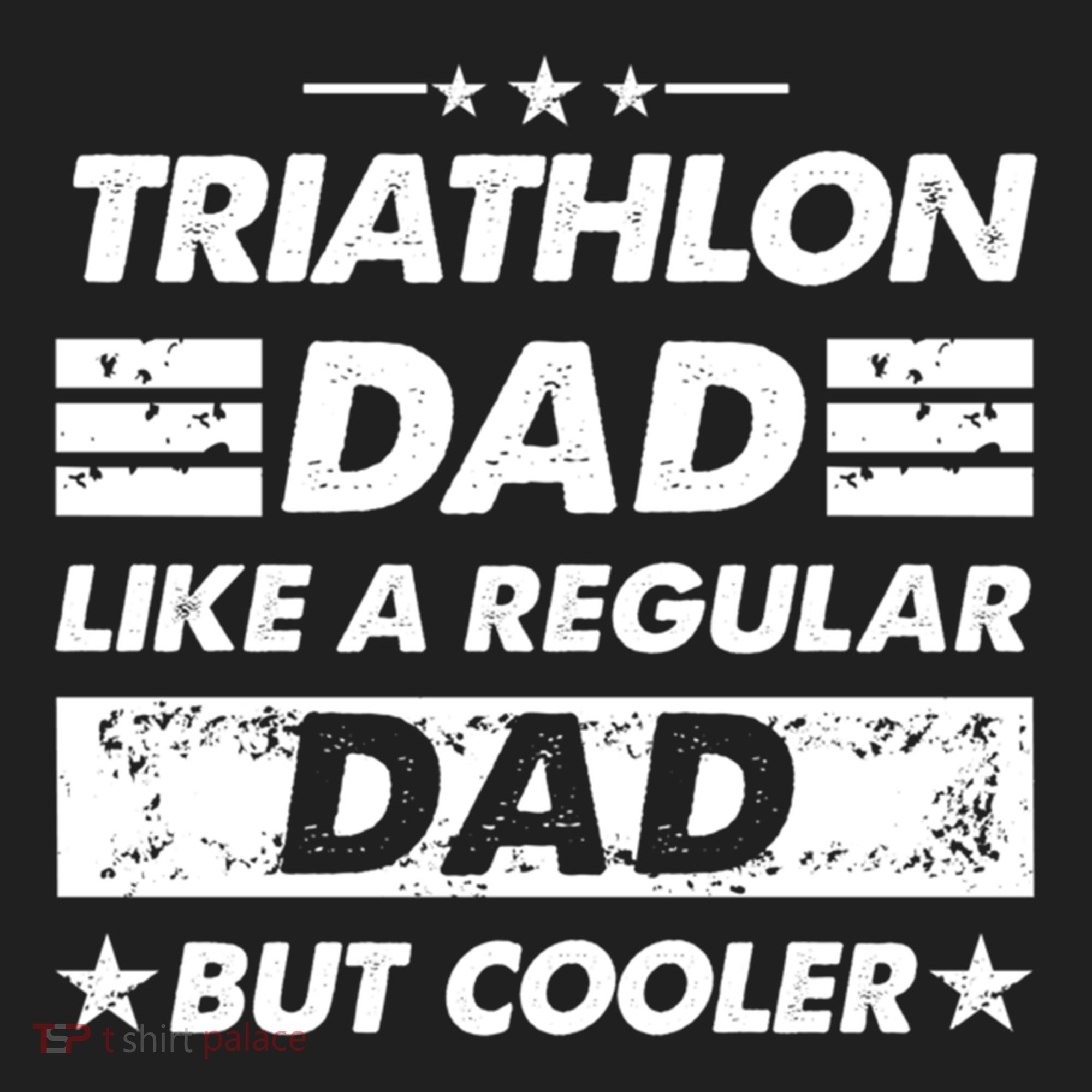 Triathlon Dad Like A Regular Dad Funny Triathlon Great Gift Beanie