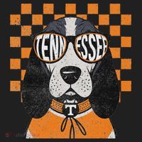 Tennessee Dog Lovers Coonhound Hat thumb 2