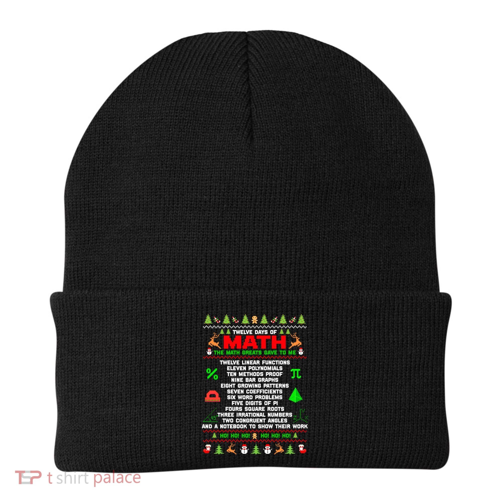 Twelve Days Of Math Teacher Students Ugly Sweater Christmas Gift Beanie