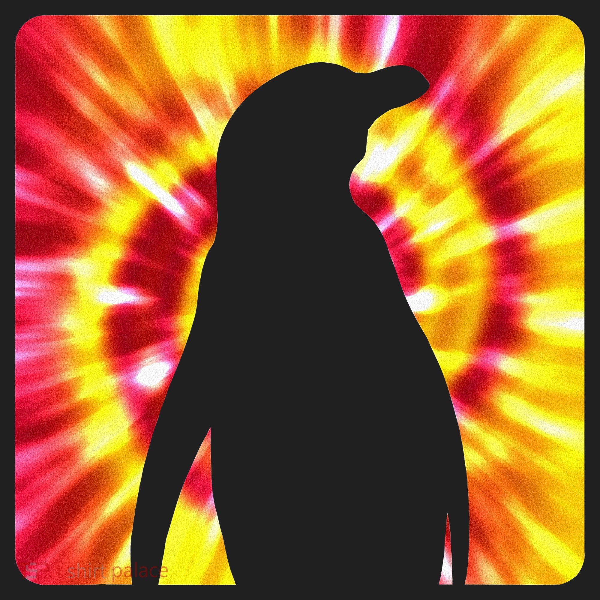 Tie Dye Penguin For Penguin Lovers Women's Sweatshirt