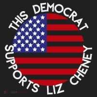 This Democrat Supports Liz Cheney Republican Trendy Gift Beanie thumb 2