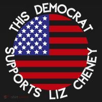 This Democrat Supports Liz Cheney Republican Trendy Gift Women's Hoodie thumb 2