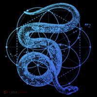 The Dharma Store Sacred Geometry Seed Of Life Snake Gift Coffee Mug thumb 5