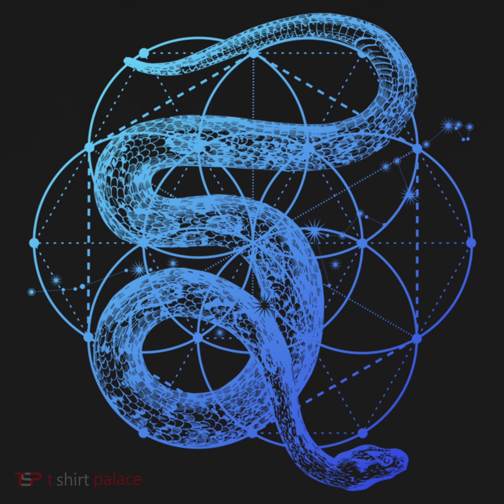 The Dharma Store Sacred Geometry Seed Of Life Snake Gift Women's Hoodie