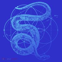 The Dharma Store Sacred Geometry Seed Of Life Snake Gift Mousepad thumb 1