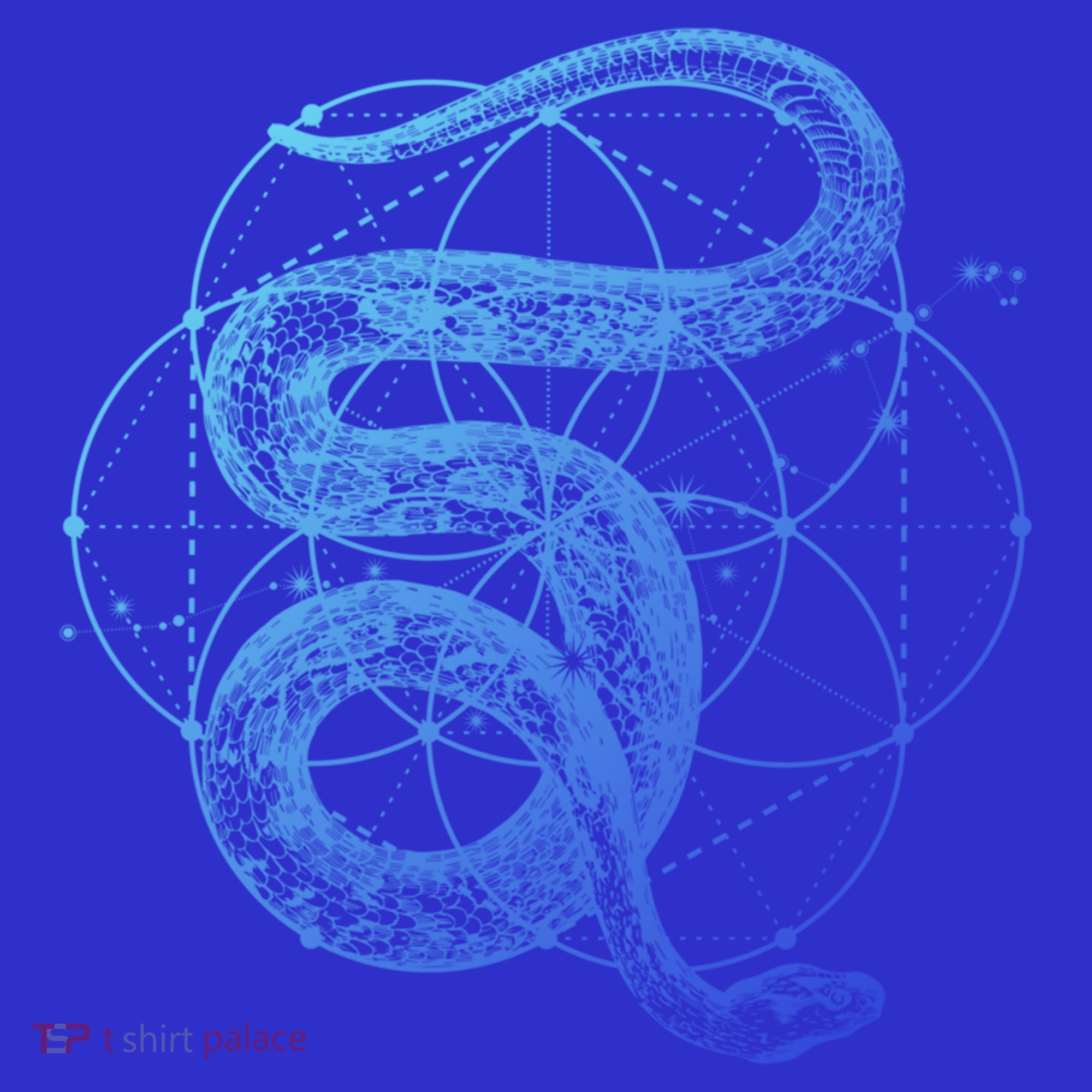 The Dharma Store Sacred Geometry Seed Of Life Snake Gift Tank Top