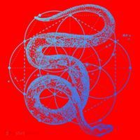 The Dharma Store Sacred Geometry Seed Of Life Snake Gift Santa Hat thumb 1
