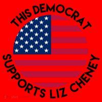 This Democrat Supports Liz Cheney Funny Election Santa Hat thumb 1