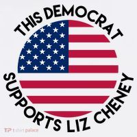 This Democrat Supports Liz Cheney Funny Election Kids Sweatshirt thumb 2