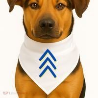 T21 Down Syndrome Awareness USA-Made Doggie Bandana thumb 1