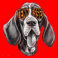 Tennessee Dog Sport Lovers Tennessee Coonhound Santa Hat thumb 1