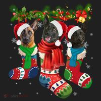 Three Dutch Shepherds In Christmas Socks Tumbler thumb 3