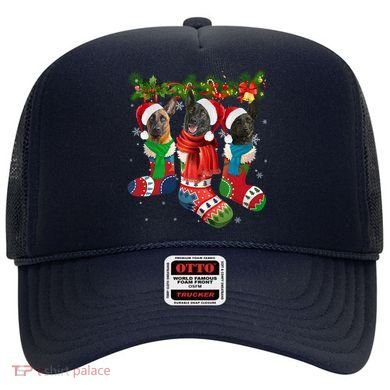 Three Dutch Shepherds In Christmas Socks Hat