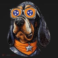 Tennessee Dog Sport Lovers Tennessee Coonhound Fan Women's Hoodie thumb 2