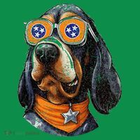 Tennessee Dog Sport Lovers Tennessee Coonhound Fan T-Shirt thumb 7