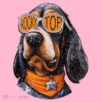 Tennessee Dog Sport Lovers Coonhound Fan Rocky Coaster thumb 2