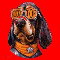 Tennessee Dog Sport Lovers Coonhound Fan Rocky Santa Hat thumb 1