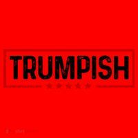 Trumpish Donald Trump 2024 Santa Hat thumb 1