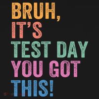 Test Day Teacher Bruh It's Test Day You Got This Funny  Hoodie thumb 7