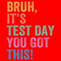 Test Day Teacher Bruh It's Test Day You Got This Funny  Santa Hat thumb 1
