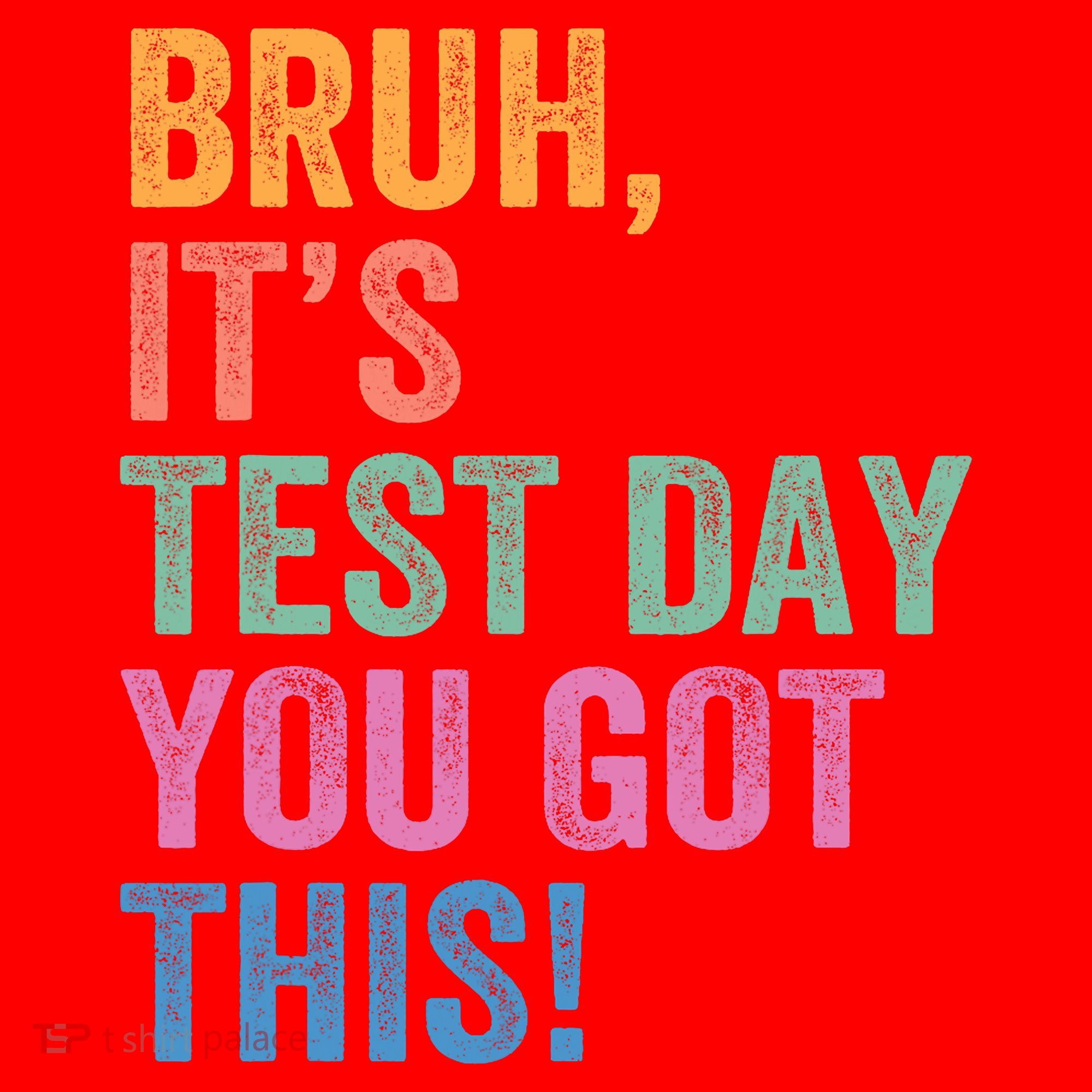 Test Day Teacher Bruh It's Test Day You Got This Funny  Santa Hat