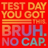 Test Day Teacher Bruh Its Test Day You Got This Funny Santa Hat thumb 1