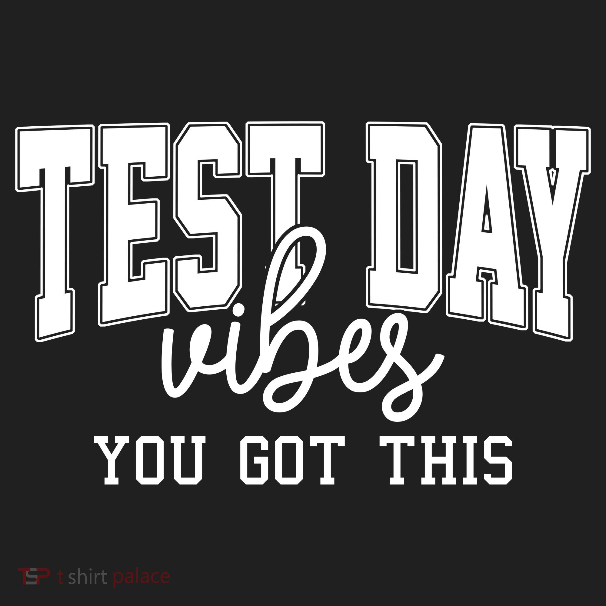 Test Day Vibes You Got This Beanie